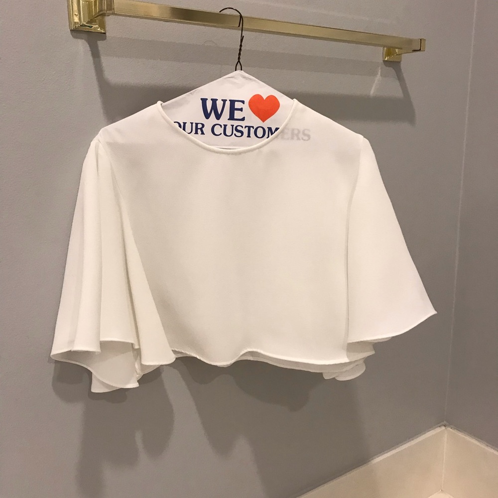 Zara Flutter Sleeve Crop Top